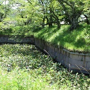 龍岡城