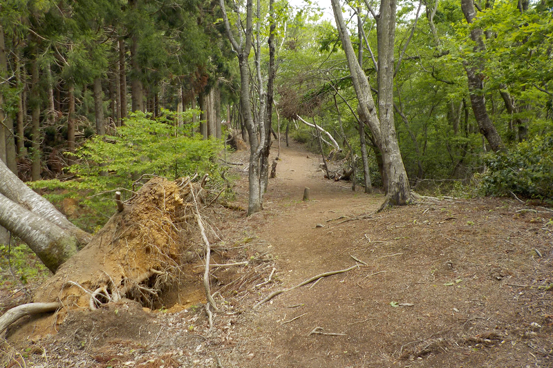 玄蕃尾城土塁と空堀