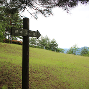 向羽黒山城