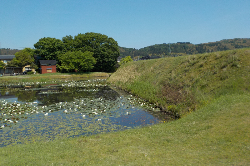 安田城土塁