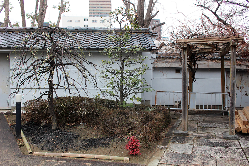 高津宮献梅祭