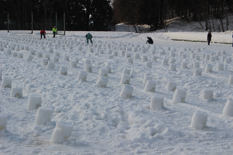 えちごかわぐち雪洞火ぼたる祭