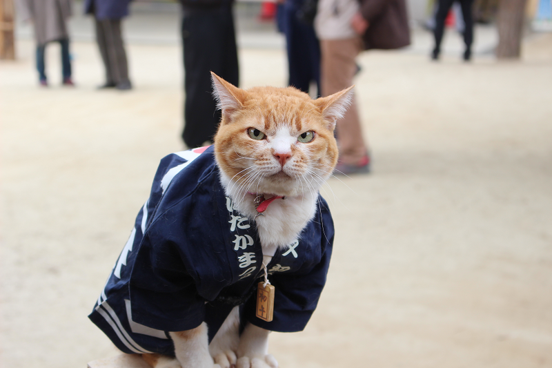 時又初午はだか祭